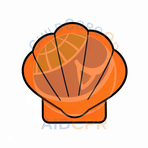 Bright orange scallop shell drawing