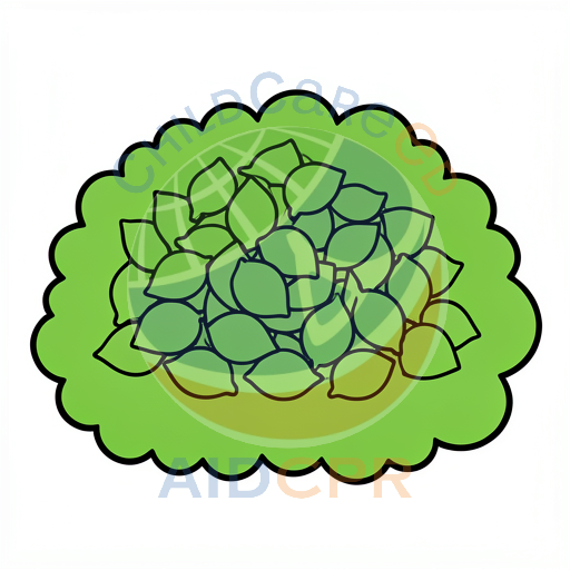 Green leafy bush with rounded shape