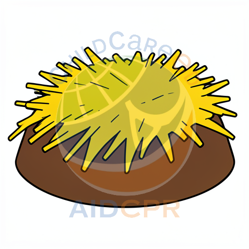 Yellow starfish on brown sandy bottom