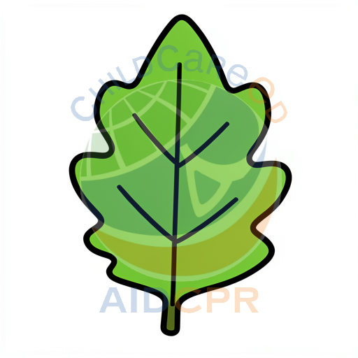 Bright green leaf with bold lines