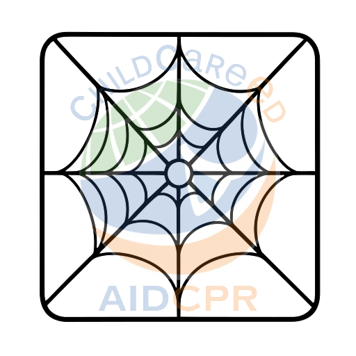 Spider web pattern in green square coloring page