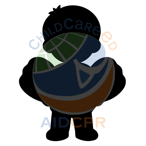 Boy smiling while holding round orange object silhouette