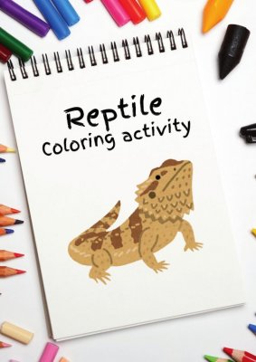 Reptile Coloring Activity