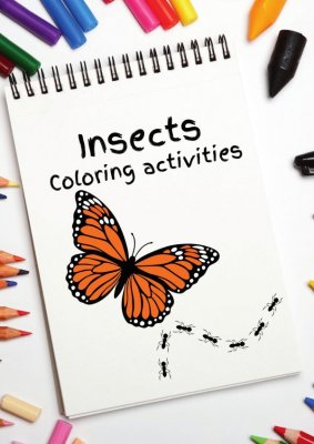 Insects Coloring Activity