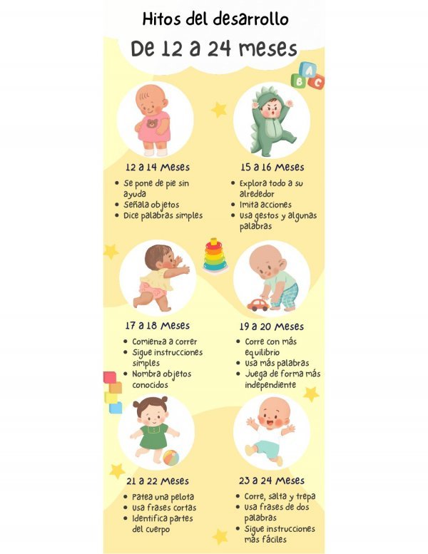 Hitos del Desarrollo de 12 a 24 Meses