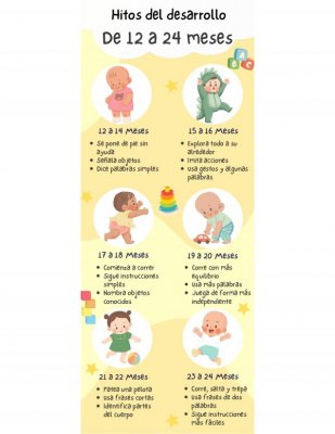 Hitos del Desarrollo de 12 a 24 Meses