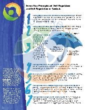 Seven Key Principles of Self-Regulation for young children 