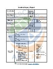 Accident/Injury Child Care Form. Admin. All Ages.