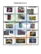 Lists and Images of Poisoning Plants. All Ages. Safety.