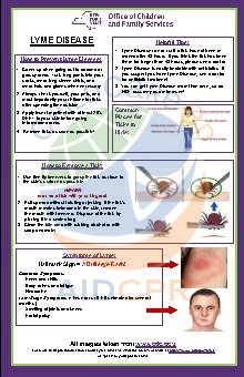 Lyme Disease Tip Sheet 