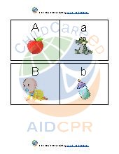 Upper and Lower Case Matching Activity 
