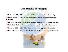 Core Montessori Principles Poster