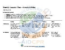 Sample Weekly Lesson Plan Infant/Toddler