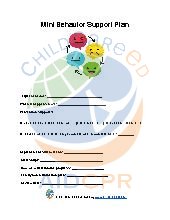 Mini Behavior Support Plan 