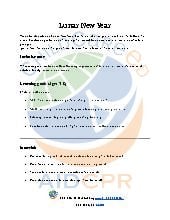 Lunar New Year Activities