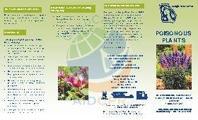 Poisonous Plants Safety Guide
