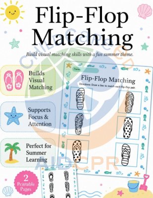 Flip-Flop Matching: Summer Visual Matching Activity