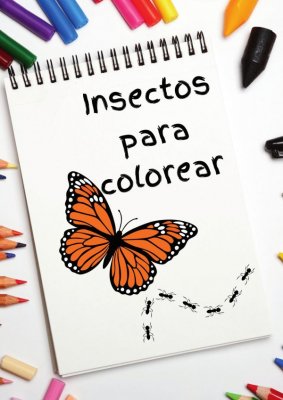 Insectos para Colorear