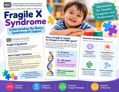 Fragile X Syndrome Fact Sheet