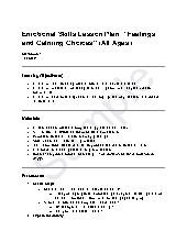Sample Emotional Skills Lesson Plan: &ldquo;Feelings and Calming Choices&rdquo; (All Ages)