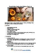 Pumpkin Seed Exploration & Sink or Float Lab
