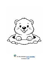 Groundhog Coloring Page 
