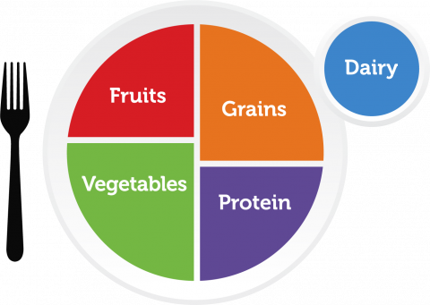 image in article Childhood Nutrition