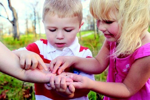 image in article The Outdoor Classroom