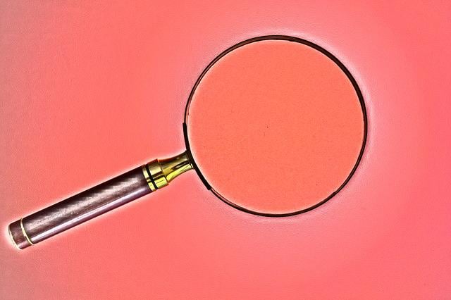 image in article Inspecci&oacute;n de Licencia en Washington, D.C.: C&oacute;mo Prepararse con Confianza