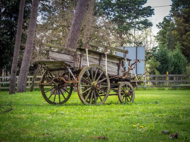 Rustic Wooden Cart in a Lush Green Field