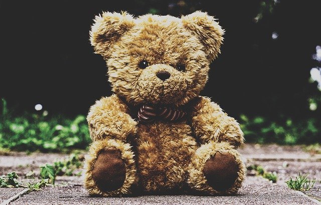 image in article Teddy Bear Day