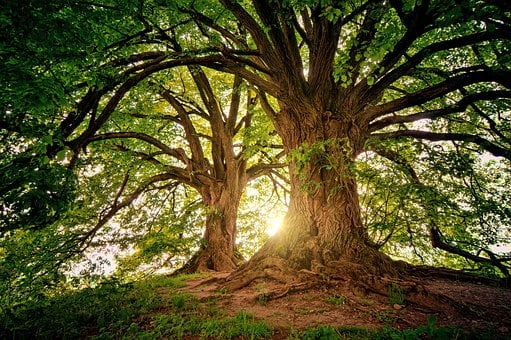 image in article The Great Texan Outdoor Classroom 