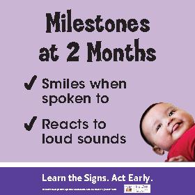 CDC Developmental Milestones Wall Posters (2 months - 5 years)