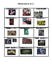 Lists and Images of Poisoning Plants. All Ages. Safety.
