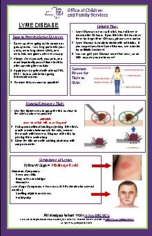 Lyme Disease Tip Sheet 