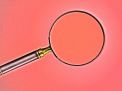 Inspección de Licencia en Washington, D.C.: Cómo Prepararse con Confianza